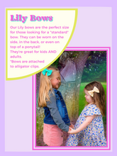 Load image into Gallery viewer, Lily Bow - Whoopsie Daisy